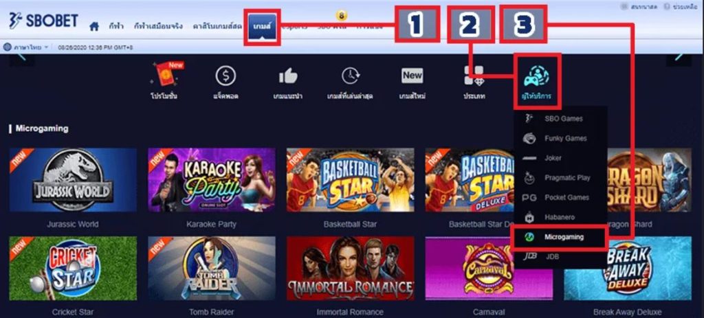 ค่ายเกม SLOT MICROGAMING 